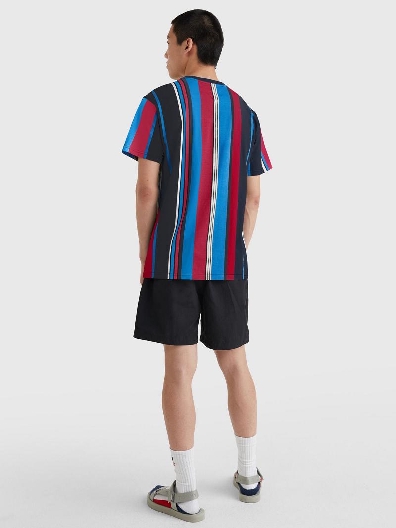 Férfi Tommy Hilfiger Mixed stripe badge Póló Színes | HU 839YXF